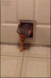 Fat-cat-pet-door