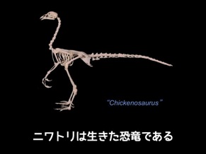 1min_building_a_dinosaur_from_a_chicken.004